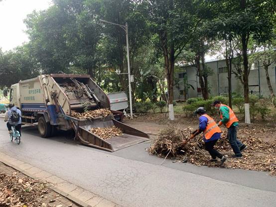 d953561ee10b611e9dcd520d55f3eab