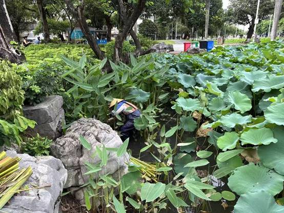 4a290d899975978b410fdc6deea5ecd