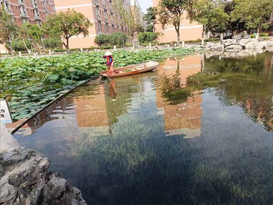 7b2ea9f6ae46a52033575a301b27282