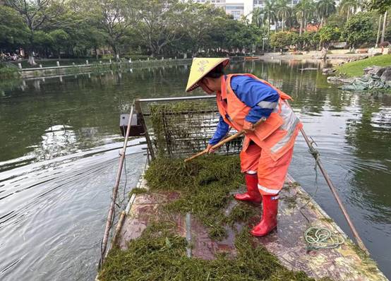 cfe84c1cb734e89f46ff461135339e2