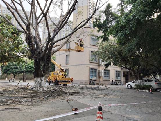 1c3847d2a88e64e96b586eff35f844e