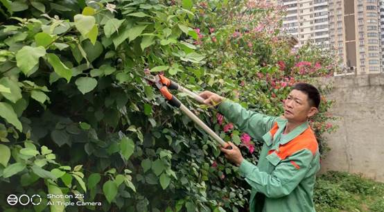 说明: 805ced22f781f8ced70936ef83a1752