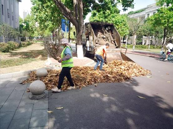 3736973115615111261d29520ee2b27