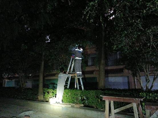 0d01e540cb1811c9a638bd7d5f65f4c