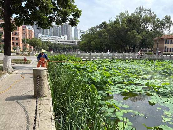 6605ac1fbff8faaa7318fdec5027cc5