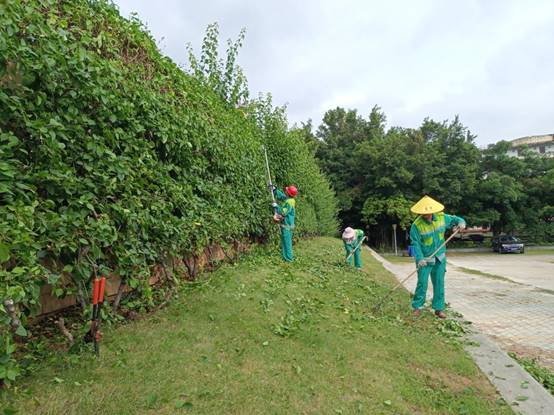 9f506a22a31ace991d55a2d5c967851