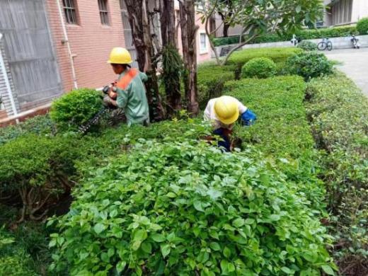 bf9c97fb75ba9b1d822a55f68d0ae1f