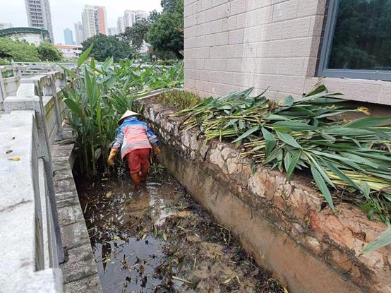 8667c21dfa11921620e0c2826c0b958