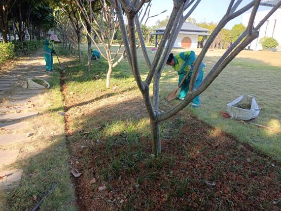 e1909d574cfb655b88797bd3e064a9c