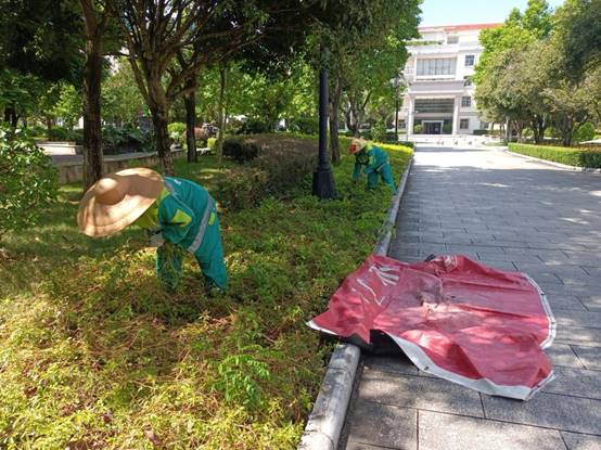 2f04841cbcc0b960f8747d0b9ad5186