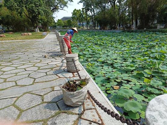 d18e42cdd4ace04c5f16e67c6d6bd21