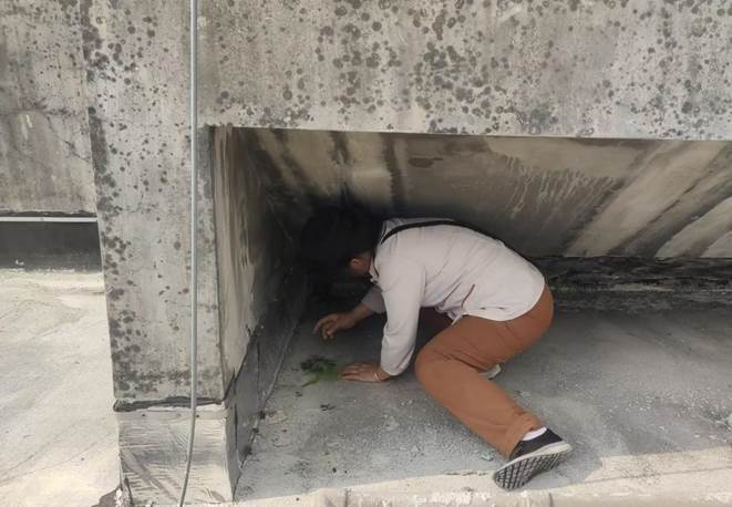 bc6f864bf2606bbe1fa421050a4f15a