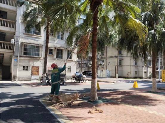 8295a65171d4c9b999f2d15466a2bf6