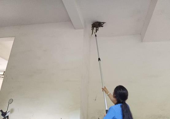 542ee6fdb69c4ce2d8f7338b136a3e6