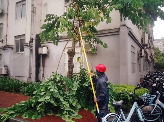 17a41f1904379dfa06d9fd42e14d377