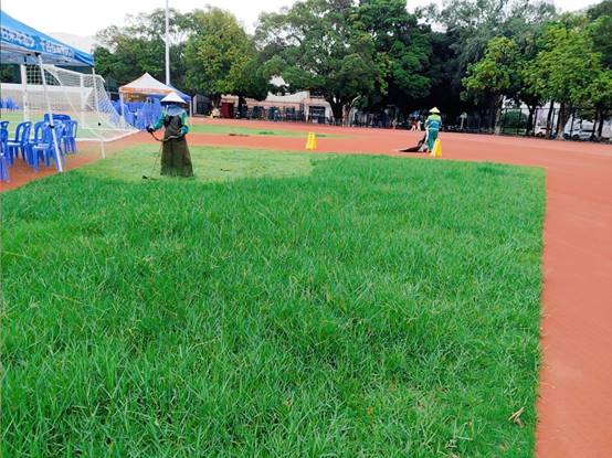 33071e3c45592f043b6afd0d7eb96f6