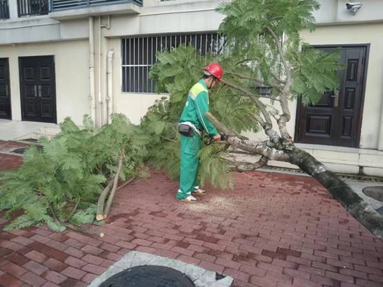 a480f88feb8ed7c0c08cc7cbfc4a9cd