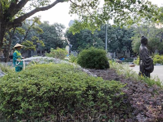 715ebc9dbedea2bdca53bd6ff626a82