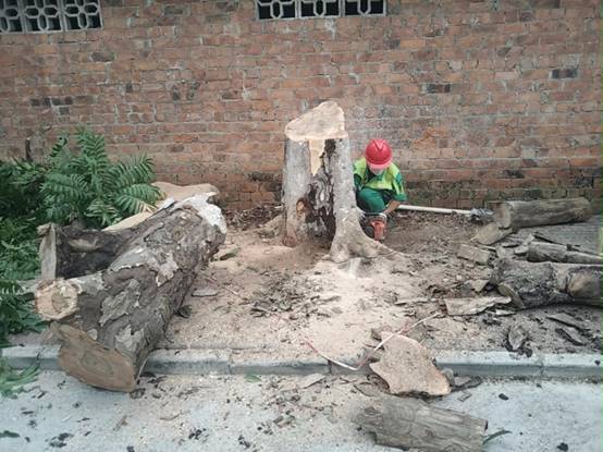 e6e6d57469f3e104ed63eb3757c1f68