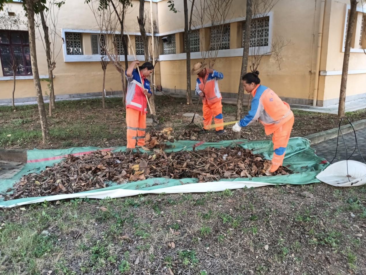 822e6f47e9fa6684f1ebdeb7b168849