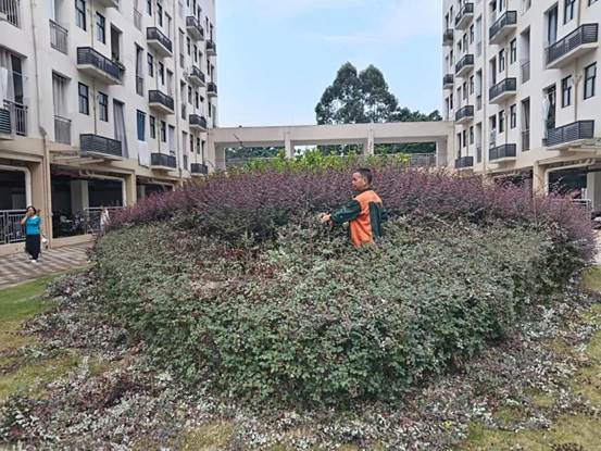 说明: 2f38b4865a8436b4ae71de9d14d0d1a