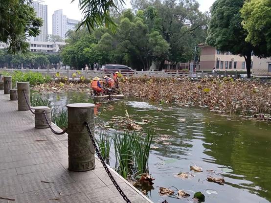 619ff81a5a56a865eeffc25658a6b7e