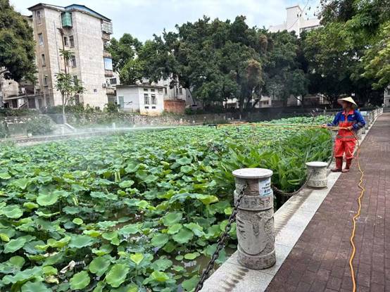 09036dc7e559dcce2c9eec2bb834c36