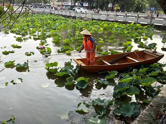 3adbcafa74a593581501ac32749465e