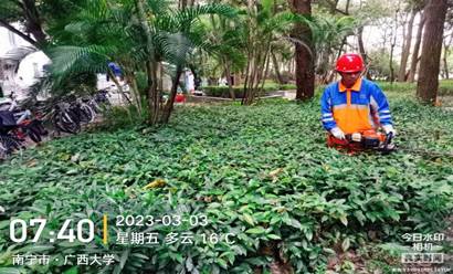 c1b3ad10b442fc80c21f8e2163c98a9