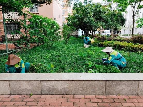 19fa69860b096eff6b95c6b5fe6467b