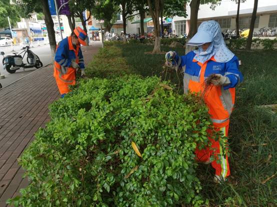 791cd8404d8af58ddfcbbcf34f4d309