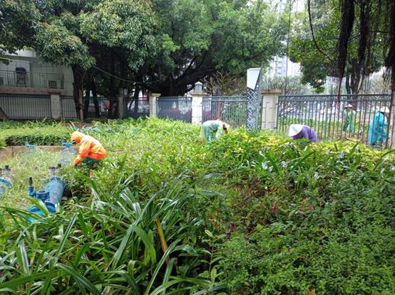 7c90d9e91b0b42f2540eeed8fefd7c8