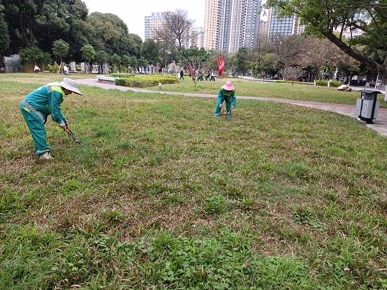 87f5fd98ede549d9b3964bd7fc862df