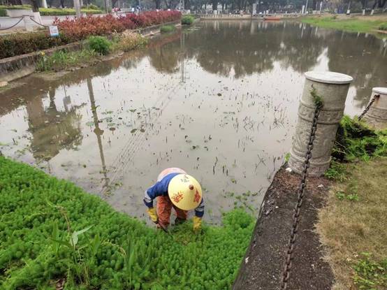 3c2e4ef72782c674a9fe1f008dfad96