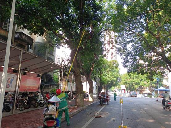 c3f7d5f66d3ccf51376d0d10cd15156