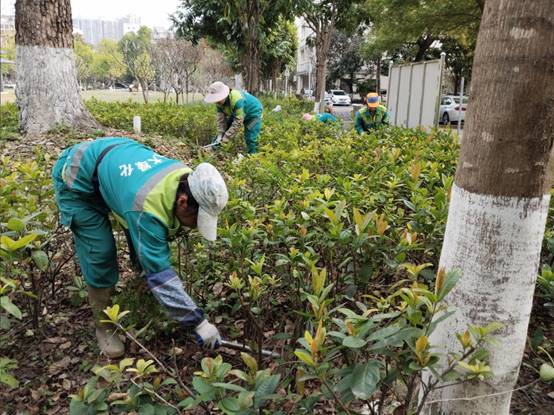 38a85744a93174fa6fd9477781645c5