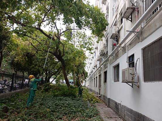 8fb00eac53f42c52a4a42f02877830c