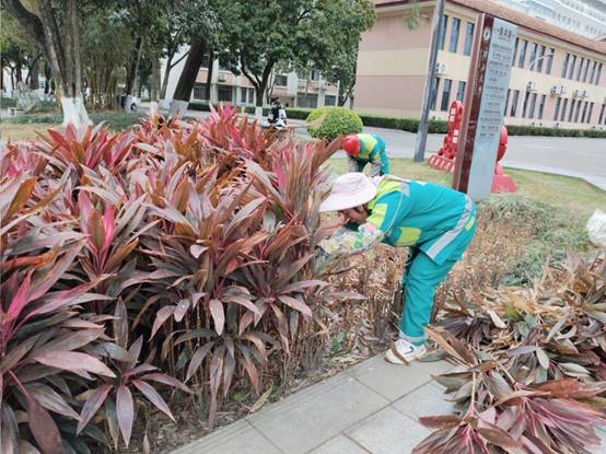 c68410984b47fa9befe3367e12b7a78