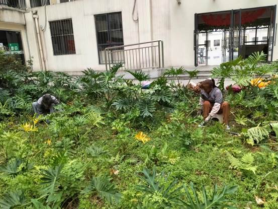 说明: a9f89804b8b7c351cd50bfce3e25c70