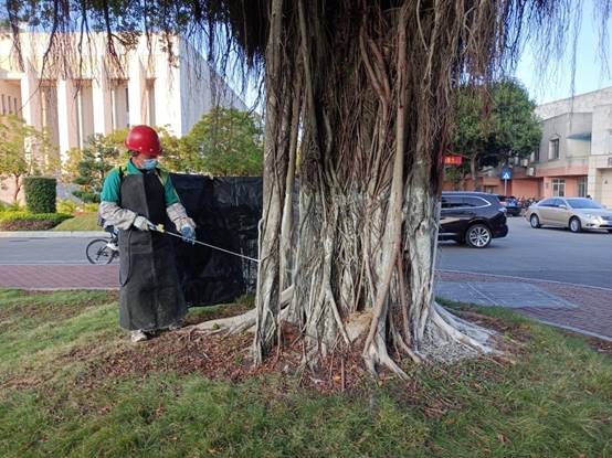 31fe64f4540499ff07253985fc3fca8