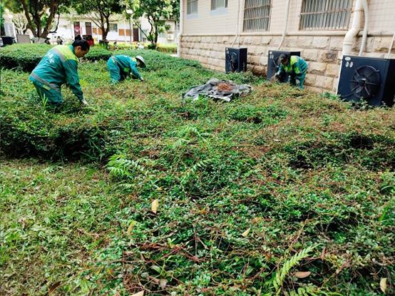 5df8965c840175e71086a6e73ce8b73