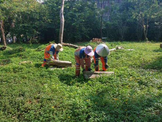 939aecb0f938ba4807f2849bd0862c3