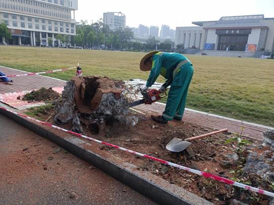 e9cd2057830fa8c4a6b0baf1435ef7e