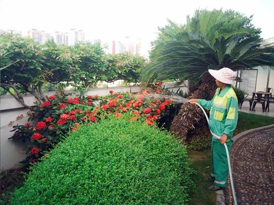 92fba70b2c6c9dcdafd075d54fb2ddd