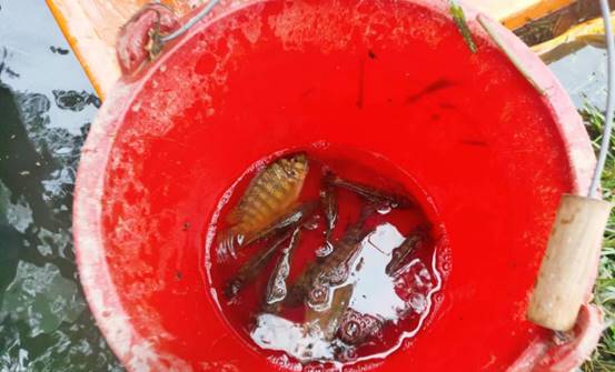 a95cdc0d269524c36836b5b3e39f8124_