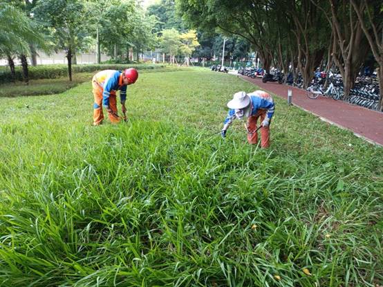 6c8243f8b4c3b94c59b9a7e92eed856