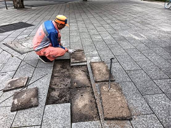 2d13f8374960ba8ed2e7d285f3ab490