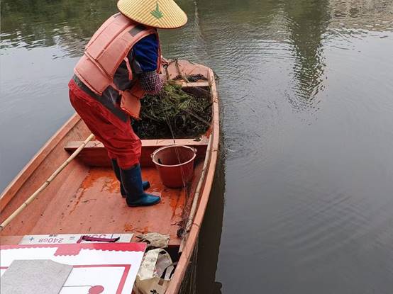 8adc6823b6e4d64d28059f1bf789754