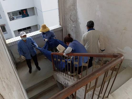 ae89922b63e33f4a120ed3825db9ec0