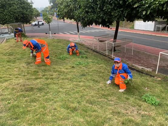 8fa4819d0fd303c96e2d7f6d4b8bfe5